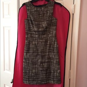 The Limited Brown and white short dress